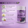 Shree BandhuJamun Fruit 100g