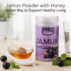 Shree BandhuJamun Fruit 100g