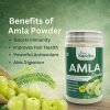 Amla Powder (Indian Gooseberry Powder)