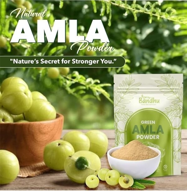 Shree Bandhu Amla Powder 200g