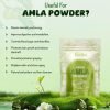 Shree Bandhu Amla Powder 200g