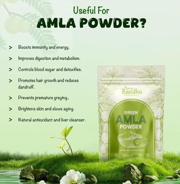 Shree Bandhu Amla Powder 200g